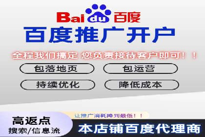 百度SEM广告策略在电商行业的成功案例